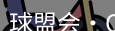 qmh球盟会
